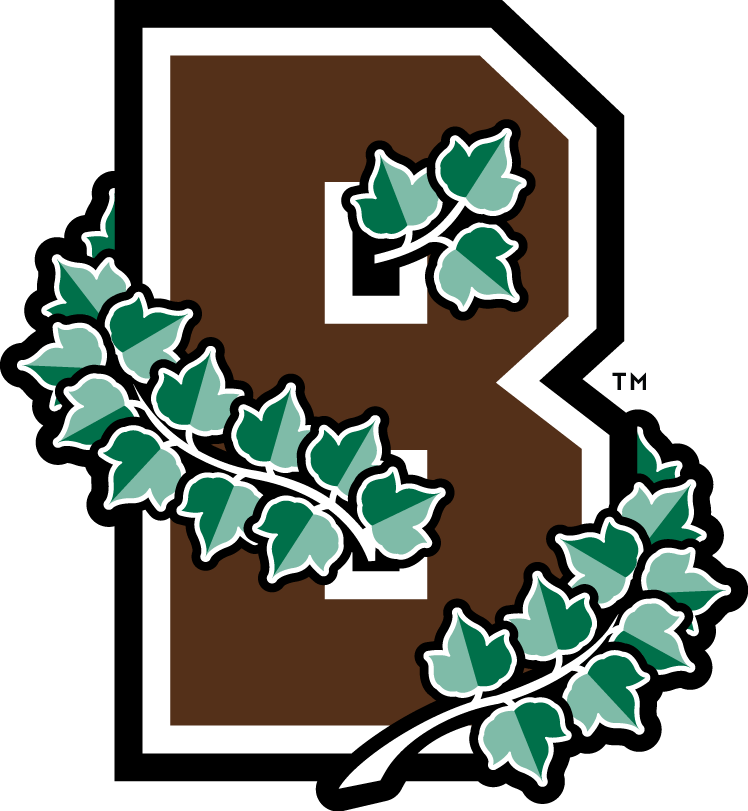 Brown Bears 2003-Pres Alternate Logo iron on transfers for clothing
